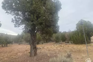 45711 W Colt Rd, Fruitland, UT 84027 - Photo 29