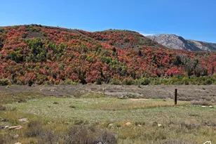 13075 E Pine Canyon Rd, Huntsville, UT 84317 - Photo 1