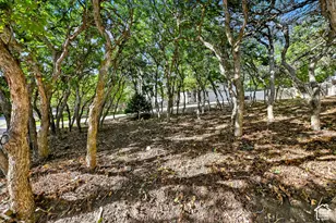 366 S Scenic Dr, Alpine, UT 84004 - Photo 47