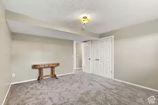 14138 S Pheasant Hollow Ln, Bluffdale, UT 84065 - Photo 59