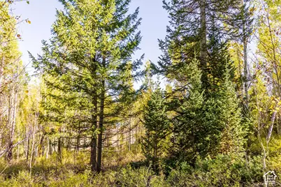 4635 Sugar Pine Dr #725, Oakley, UT 84055 - Photo 5