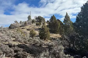 0, Duck Creek Village, UT 84762 - Photo 19
