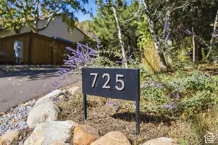 725 Canyon Rd, Smithfield, UT 84335 - Photo 91