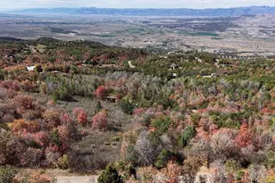 22045 N 143780 E, Fairview, UT 84629 - Photo 1