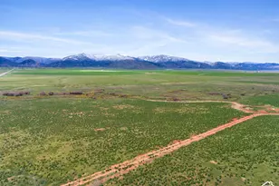 2851 W Hwy 78, Levan, UT 84639 - Photo 11