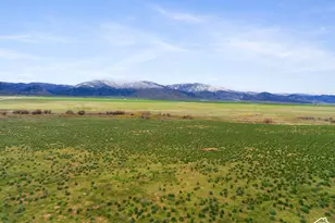 2851 W Hwy 78, Levan, UT 84639 - Photo 7