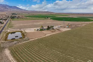 9215 N Hwy 125, Leamington, UT 84638 - Photo 55