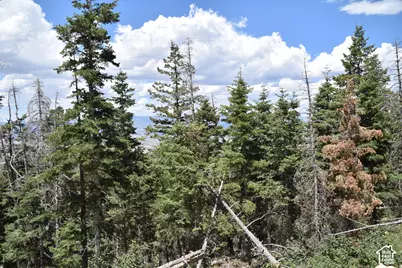 Spring City Rancheros Subdivis #LOT 5, Spring City, UT 84662 - Photo 7