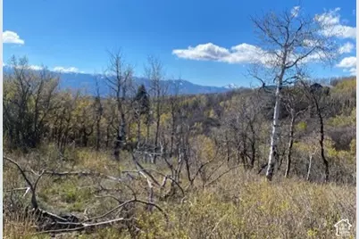 509 W Artist Point Way #53, Coalville, UT 84017 - Photo 17