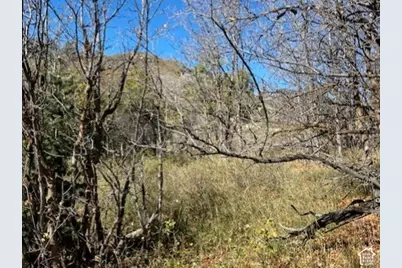 509 W Artist Point Way #53, Coalville, UT 84017 - Photo 21