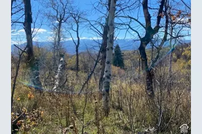509 W Artist Point Way #53, Coalville, UT 84017 - Photo 1
