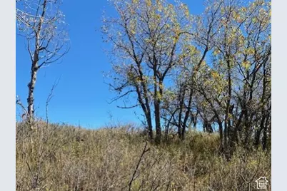 509 W Artist Point Way #53, Coalville, UT 84017 - Photo 15