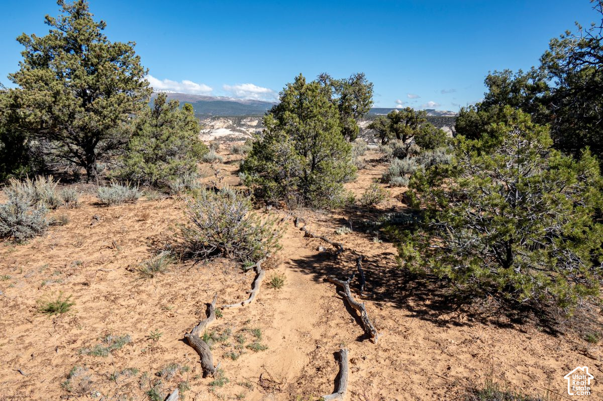 2279 E Long Neck East Dr #5, Boulder, UT 84716 - MLS 2192669 - Coldwell ...
