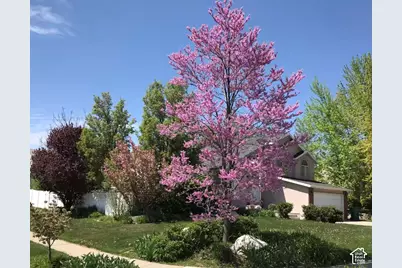 2163 N 10 W, Layton, UT 84041 - Photo 5