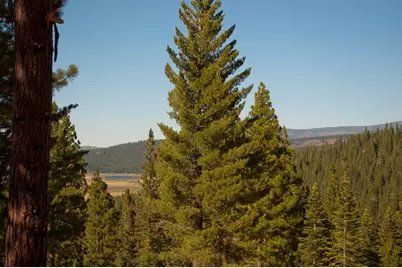 2618 Elsinore Court, Truckee, CA 96161 - Photo 7