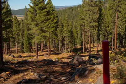 2618 Elsinore Court, Truckee, CA 96161 - Photo 9