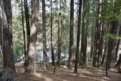 6 Pine Tree Court, Blairsden, CA 96103 - Photo 15