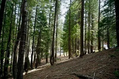 6 Pine Tree Court, Blairsden, CA 96103 - Photo 13