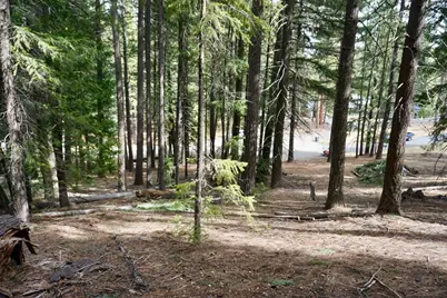 6 Pine Tree Court, Blairsden, CA 96103 - Photo 11