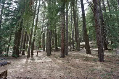 6 Pine Tree Court, Blairsden, CA 96103 - Photo 1