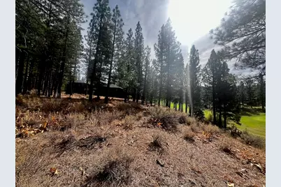 158 Red Sky, Portola, CA 96122 - Photo 7