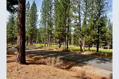 158 Red Sky, Portola, CA 96122 - Photo 5