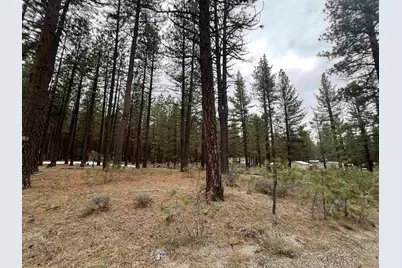 5739 Iron Horse Drive, Portola, CA 96122 - Photo 1