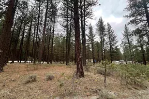 5739 Iron Horse Dr, Portola, CA 96122 - Photo 1