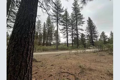 5739 Iron Horse Drive, Portola, CA 96122 - Photo 11