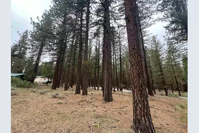 5739 Iron Horse Drive, Portola, CA 96122 - Photo 7