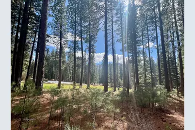 879 Prospector Drive, Clio, CA 96106 - Photo 1