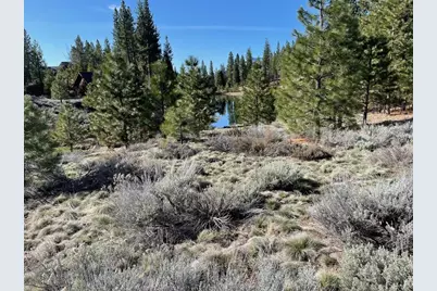 328 Blacktail Ridge, Portola, CA 96122 - Photo 3