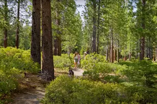 8901 Rubicon Dr, Meeks Bay, CA 96142 - Photo 23