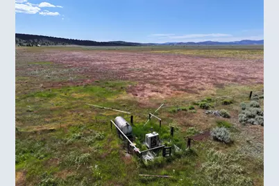 705 200 Highway 395, Termo, CA 96132 - Photo 21