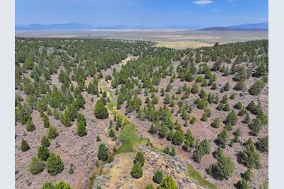 705 200 Highway 395, Termo, CA 96132 - Photo 7