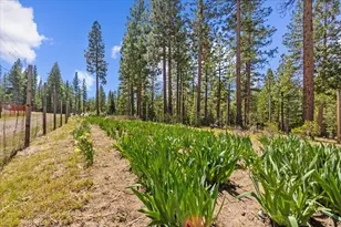 300 Bluejay Dr, Blairsden, CA 96106 - Photo 23