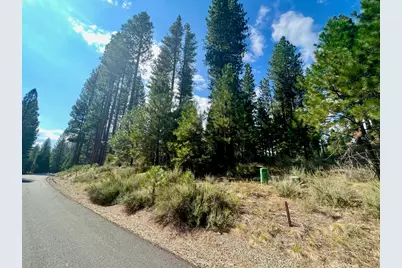 655 Bobcat Trail, Clio, CA 96106 - Photo 1