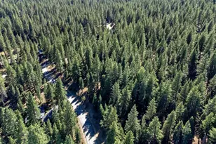 12062 Saddleback Dr, Truckee, CA 96161 - Photo 3