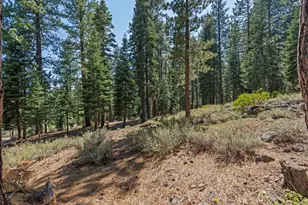 12062 Saddleback Dr, Truckee, CA 96161 - Photo 17