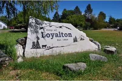 556 Longhorn Drive, Loyalton, CA 96118 - Photo 5