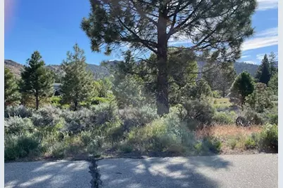 556 Longhorn Drive, Loyalton, CA 96118 - Photo 1