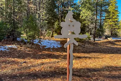 3000 22N03, Beckwourth, CA 96129 - Photo 11