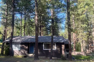 302 Mountain View Rd, Calpine, CA 96124 - Photo 1