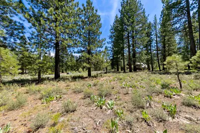 8201 Lahontan Drive, Truckee, CA 96161 - Photo 7