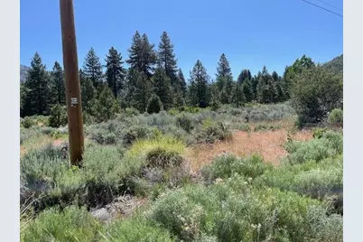 566 Longhorn Drive, Loyalton, CA 96118 - Photo 5