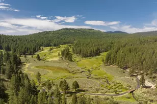 7555 State Hwy 89, Sierraville, CA 96126 - Photo 27