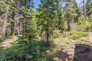 358 Twin Crags Rd, Tahoe City, CA 96145 - Photo 19