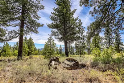 12447 Settlers Lane, Truckee, CA 96161 - Photo 21