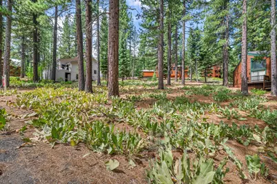 139 Basque, Truckee, CA 96161 - Photo 5