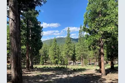 296 Big Cedar Lane, Portola, CA 96122 - Photo 1